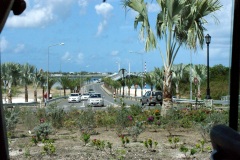 SONY DSC