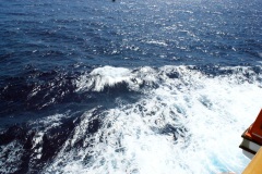 SONY DSC