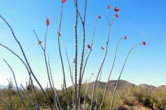20140403T-008