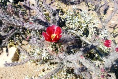 20140403T-020