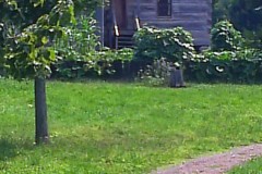 20140726-240