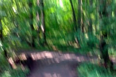 20140726-247