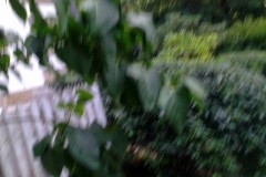 20140726-267