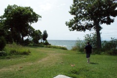 SONY DSC