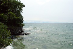 SONY DSC