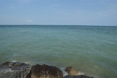 SONY DSC