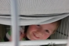 2015-07-18-15.59.55