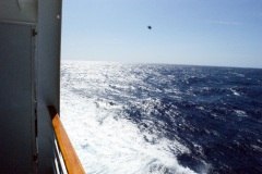 SONY DSC