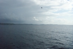 SONY DSC