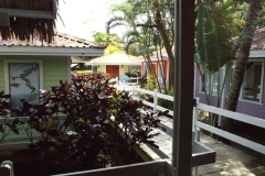 SONY DSC