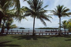 SONY DSC