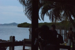 SONY DSC