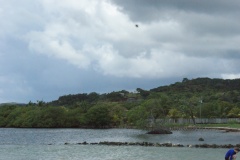 SONY DSC
