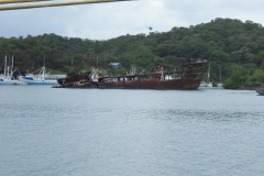SONY DSC