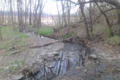 20150406-006