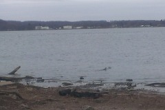20150406-020