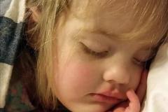 Branch-Sophia-2015-01-16