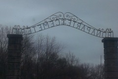 IMAG1920