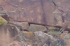IMAG2189