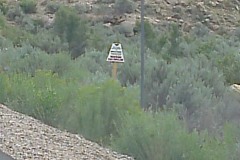 IMAG2191