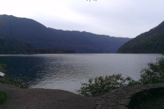IMAG2265
