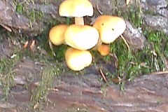 IMAG2282