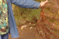 IMAG2283