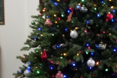 2017-12-25-08.37.49