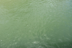 20170610a-015