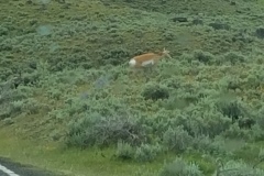 20170613_140157