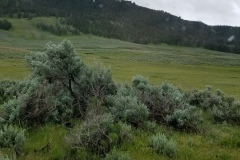 20170613_140706