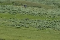 20170613_140725