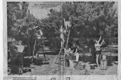 1955-07-24-age-18.7a
