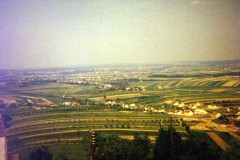 Minolta DSC
