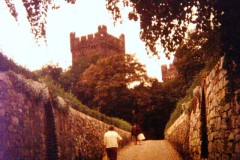 Minolta DSC