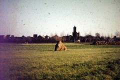 Minolta DSC