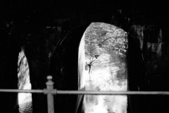 CCI03252016_0023-Copy