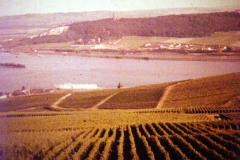 Minolta DSC